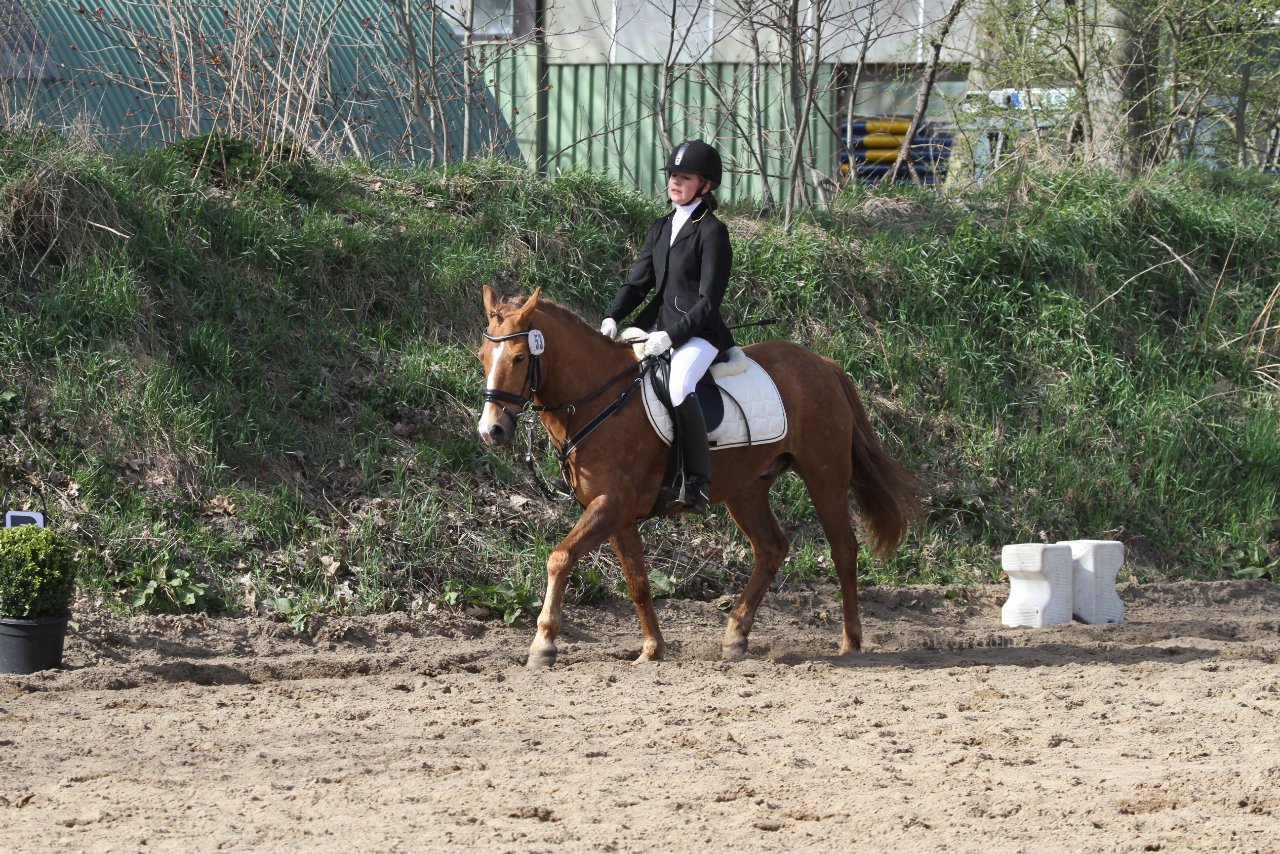 Bild 1168 - WBO-Turnier am 9.4.11